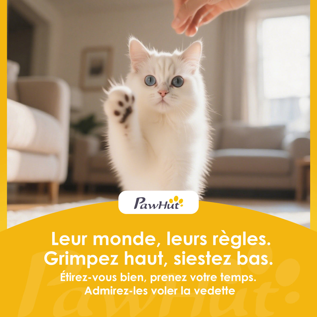 Tunnel pour chat avec lit donut – vue 2