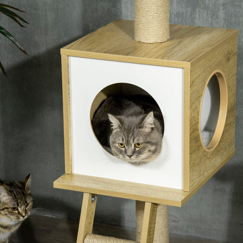 Arbre à chat du sol au plafond avec niche et hamac