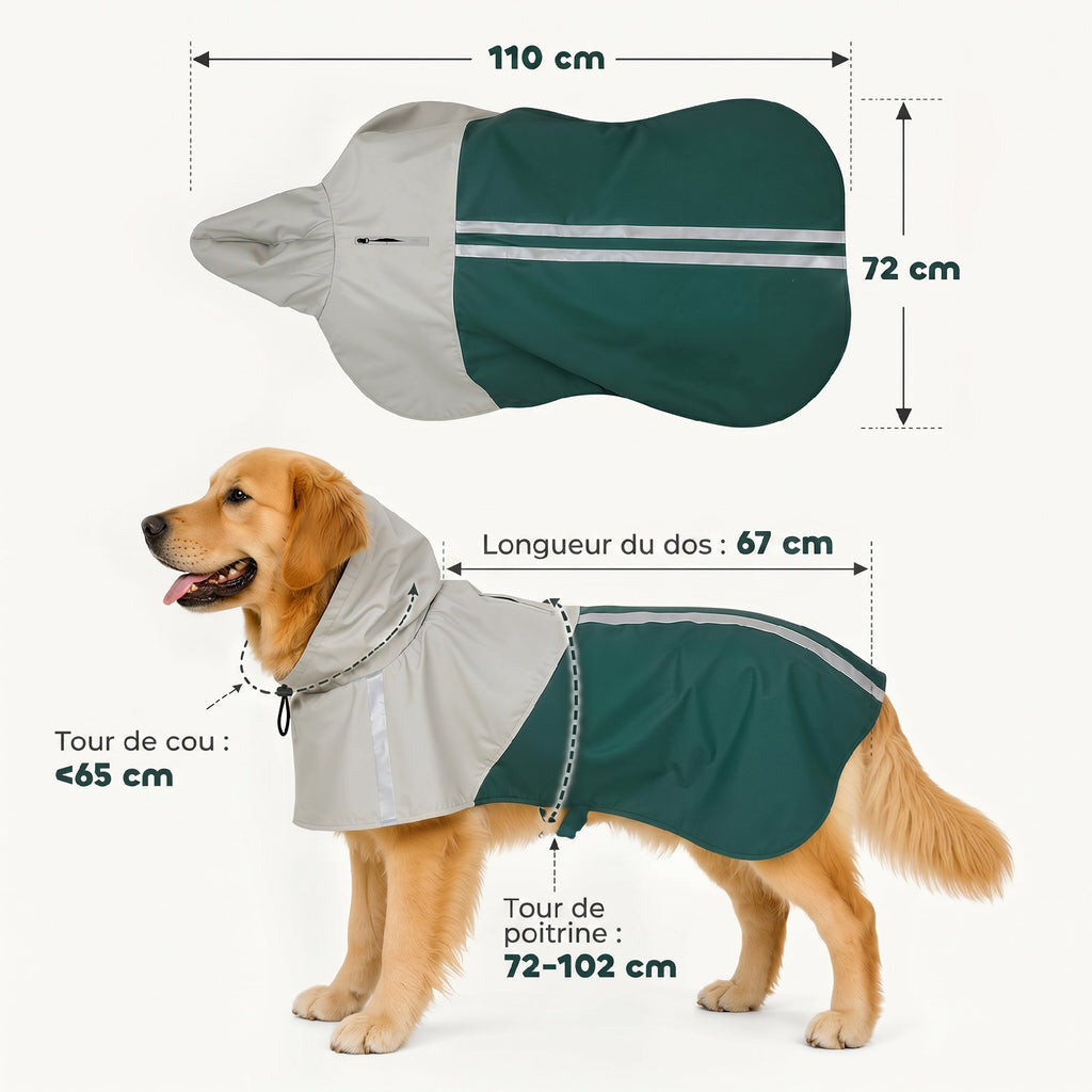 Imperméable vert pour chien avec capuche et bandes réfléchissantes
