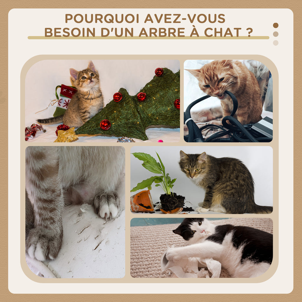 Arbre à chat XXL 200 cm avec plateformes et niches – vue 5