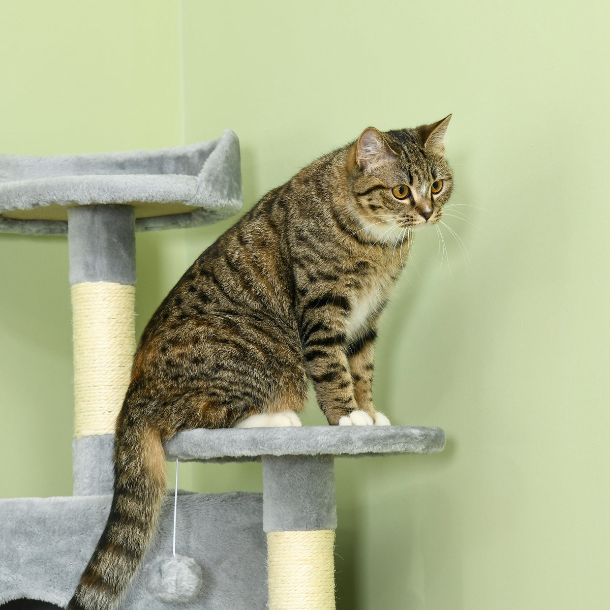 Arbre à chat XXL 200 cm avec plateformes et niches – vue 8